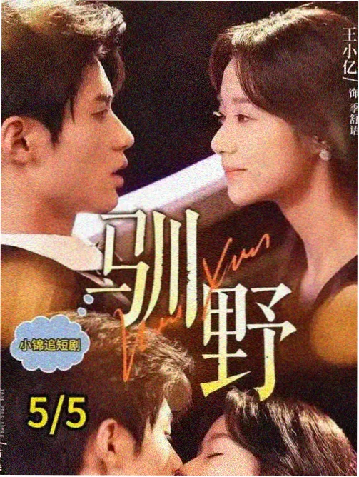 易看电影网招牌墙精选，剧集连看的深紫货架格位